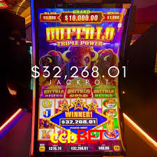 Live Casino ccbbet