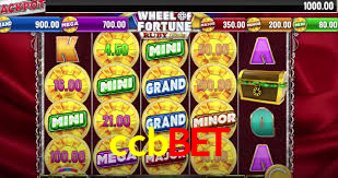 ccbbet.com
