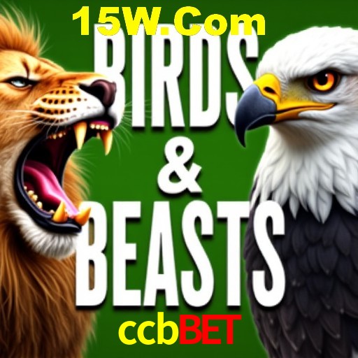 Apostas Esportivas na ccbbet: Um Guia Completo